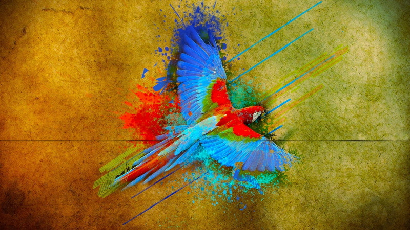 no people, multi colored, animal themes, animal body part, textured effect, parrot, macaw, 1080P, feather, vibrant color, blue, floral, vertebrate, wreath