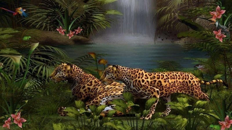 tiger, plants, lion, dangerous, cubs, beauty, waterfall, big cats, nature, jungle, wildlife, grass, 1080P, rainforest