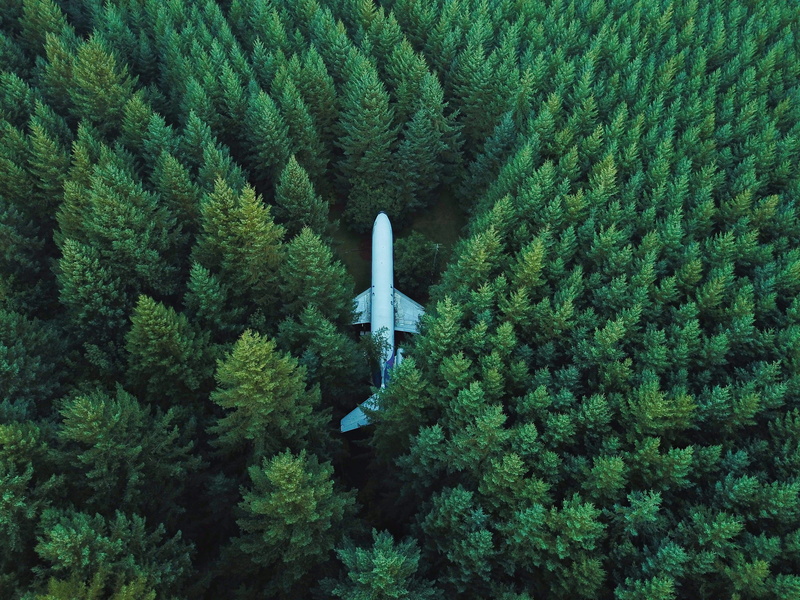 green, plant, tree, surrounded, flying, airplane, representation, outdoors, lost, high angle view, winter, middle, warm clothing, no people, nature, growth