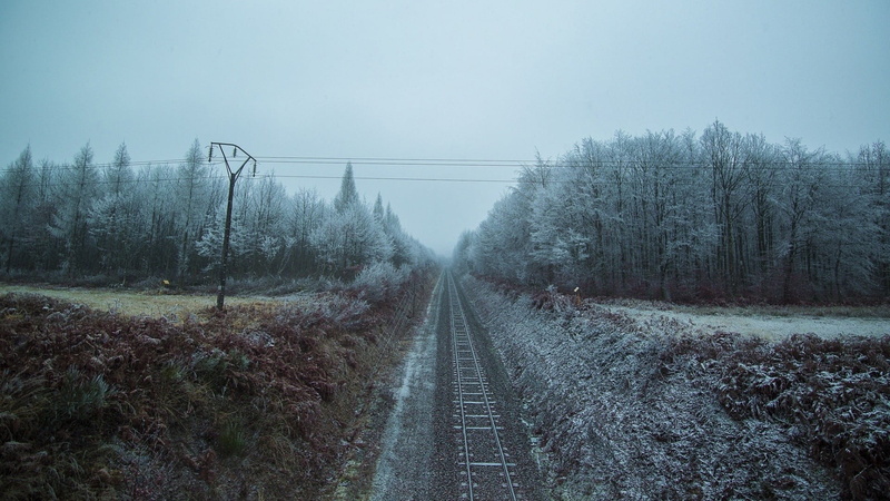 rail transportation, electricity, day, brown, 1080P, nature, fog, plant, tranquil scene, landscape, road, cold, field, tree, railway, winter, trees, the way forward