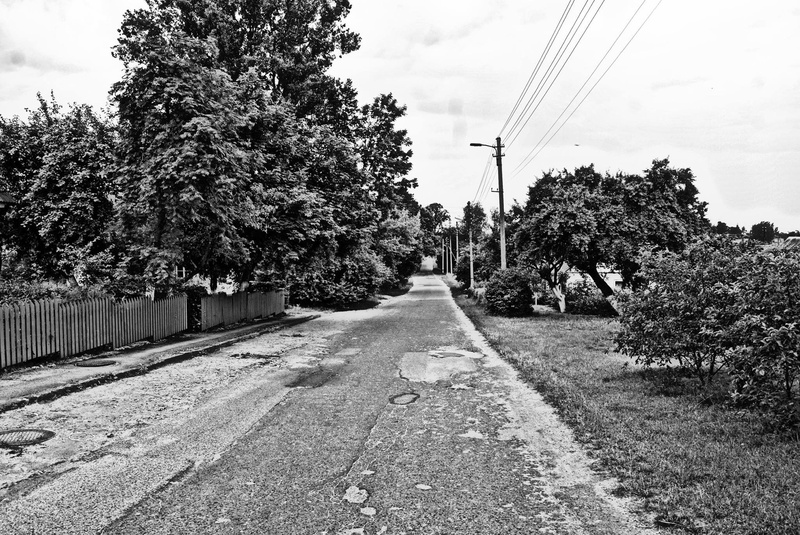 plant, growth, power supply, transportation, power line, sky, the way forward, tree, vanishing point, direction, diminishing perspective, road, electricity