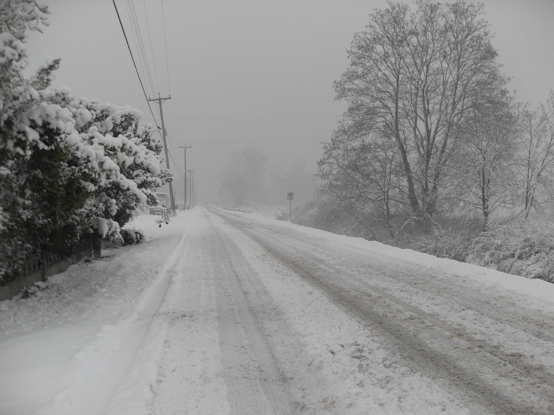 blizzard, weather, transportation, snowing, cold, road, snowfall, no people, diminishing perspective, electricity, nature, the way forward, connection