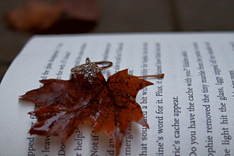 fall, paper, 4K, business, cute, unhealthy eating, artsy, table, still life, finance, newspaper, focus on foreground, seasonal, document, food, high angle view