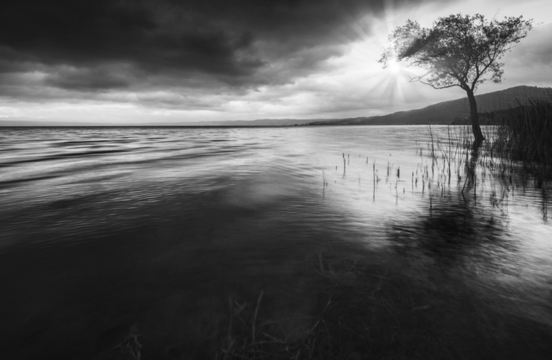 no people, Tree, Mood, montefiascone, canon, tse17mm, Sugar, artsy, Tilt, Lonely, bolsena, tranquil scene, Shift, Smart, sea, cloud - sky, sky, beauty in nature