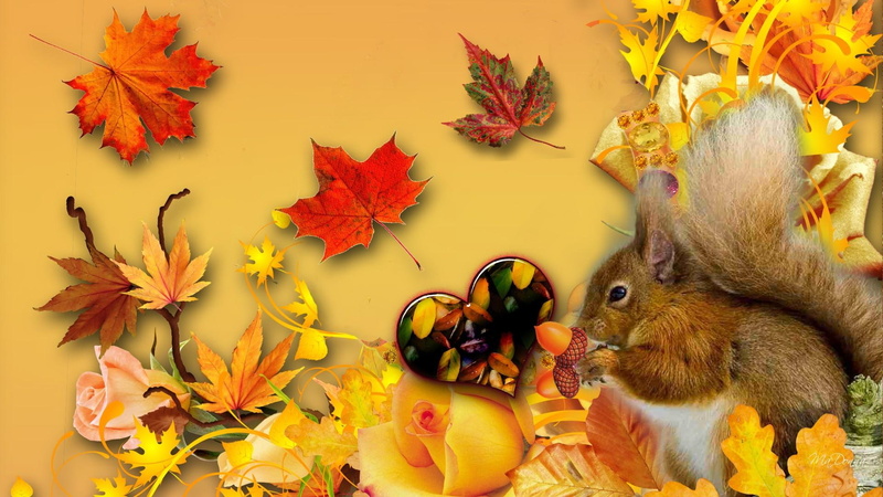 fall, rabbit, wall, happy, brown, 1080P, autumn, heart, yellow rose, maple, decor, squirrel, leaves, animals, acorn, gold, orange