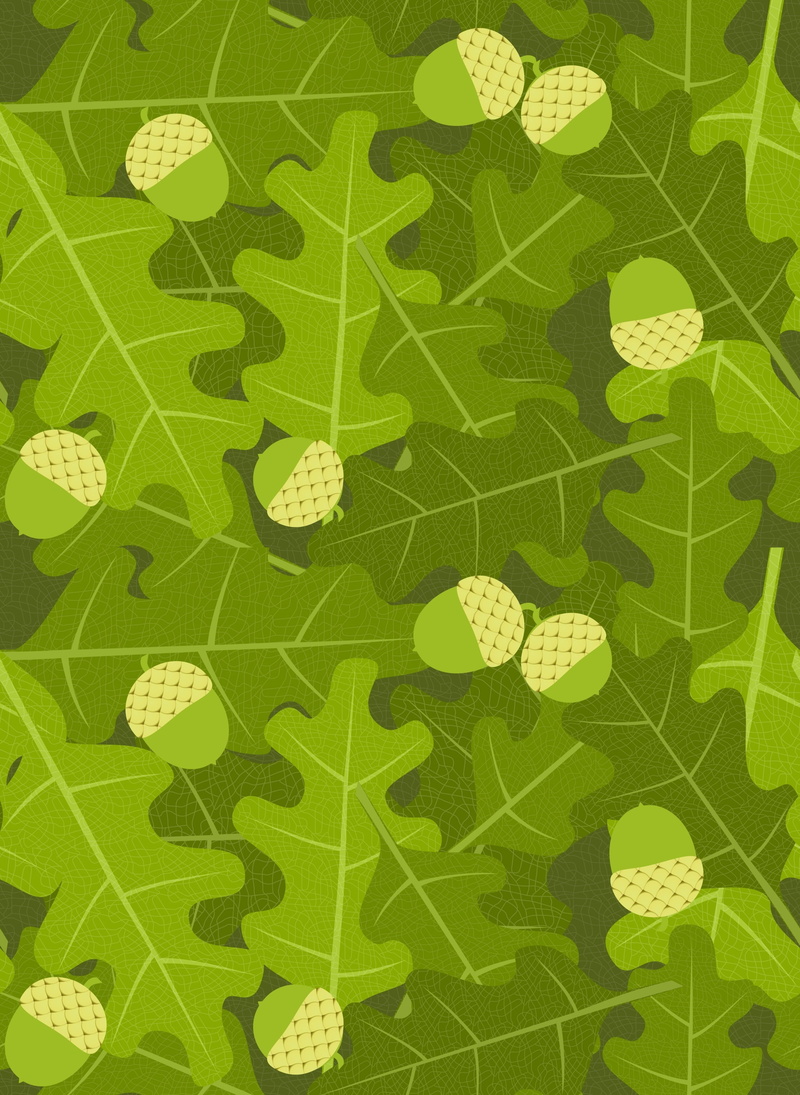 full frame, directly above, acorns, map, plant, green color, textured effect, plant part, leaf, pattern, textured, 2K, growth, grass, no people, yellow