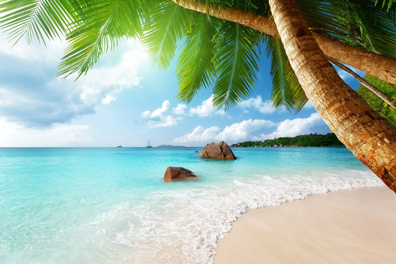 emerald, paradise, ocean, tropical, Beach, coast, palm, Blue, sea, 5K