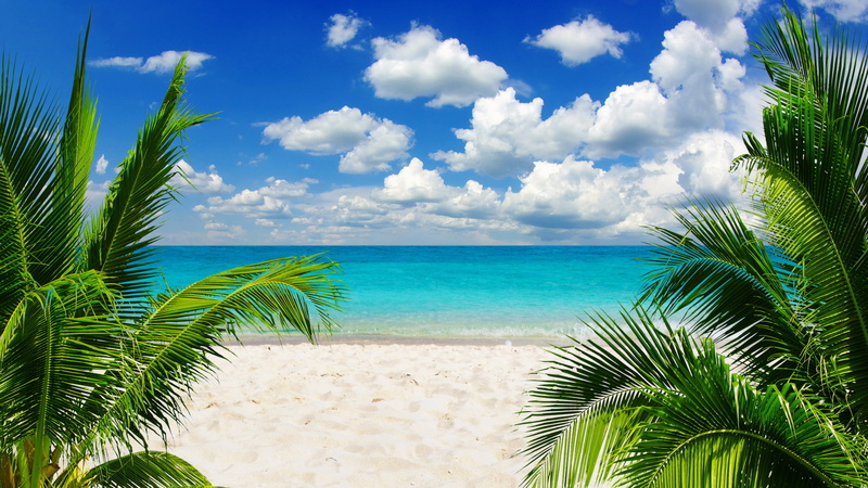 travel Destinations, the sky, horizon over water, vacations, two, landscape, tropics, palm trees, journey, travel, summer, coastline, tropical Climate