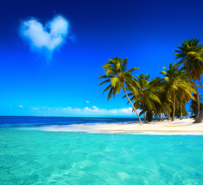 no People, nature, sky, tree, beauty In Nature, horizon, tropical Climate, ocean, tropical tree, trees, sand, travel Locations, tropics, lagoon, coastline