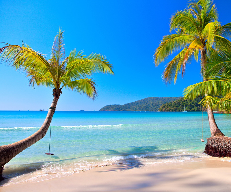 beauty In Nature, sun, horizon over water, palm Tree, blue, tropical Climate, outdoors, coconut, summer, land, 5K, turquoise Colored, tree, emerald, bay Of Water
