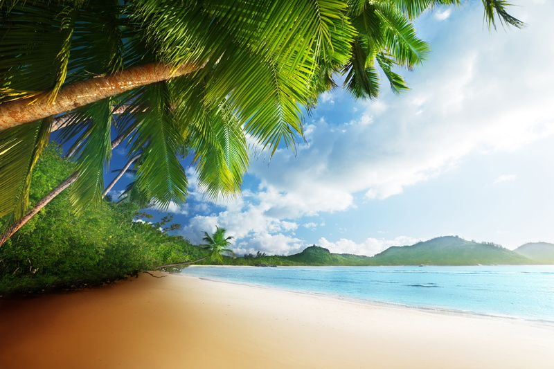 palm leaf, vacations, lagoon, seascape, cloud - Sky, wave, beauty In Nature, coastline, the sky, green Color, plant, no People, the sun, tranquil Scene