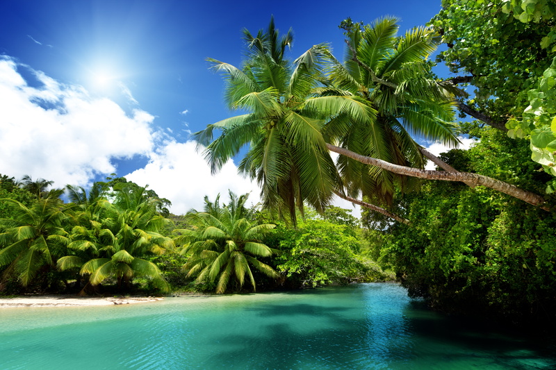 paradise, scenics - nature, coastline, idyllic, tropics, nature, beauty In Nature, palms, island, journey, water, green Color, green, seascape, tranquil Scene