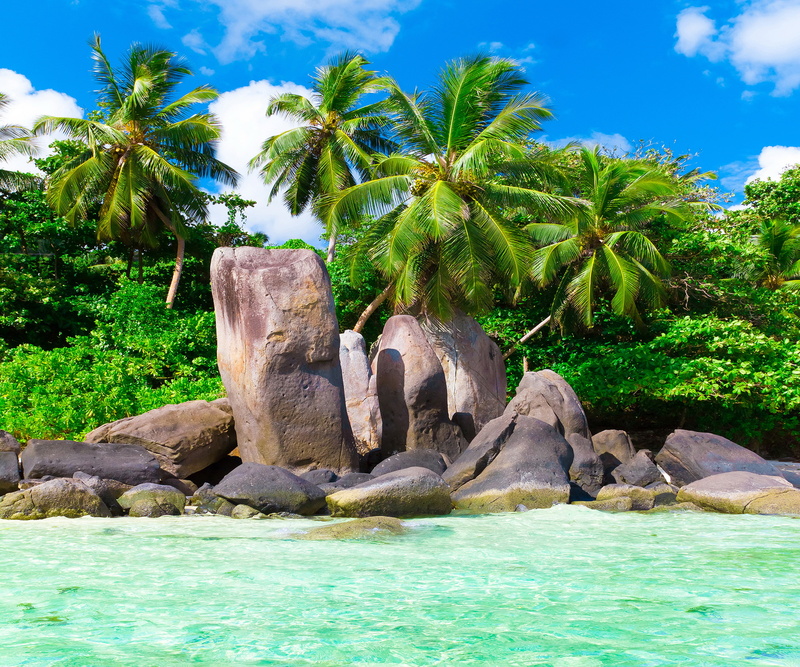 tropics, coast, 2K, summer, sea, the sun, sand, vacation, beach, emerald, ocean, palm, blue, paradise, shore, the ocean, island, tropical