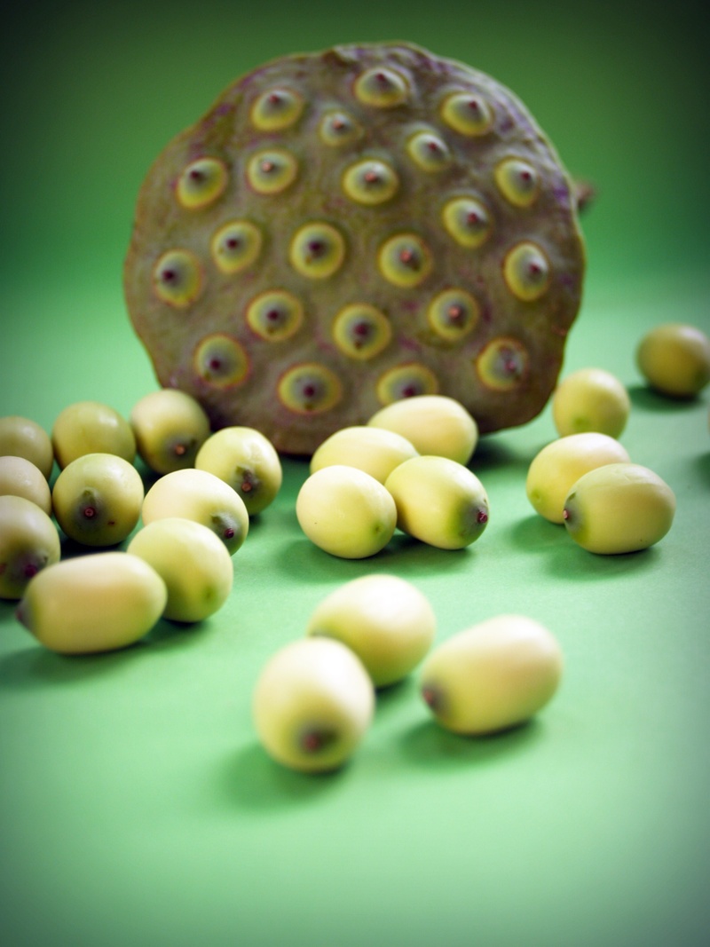 detail, round, asian, high angle view, aquatic, east, fresh, leaf, seedpod, studio shot, agriculture, group of objects, lily, pod, asia, freshness, fruit