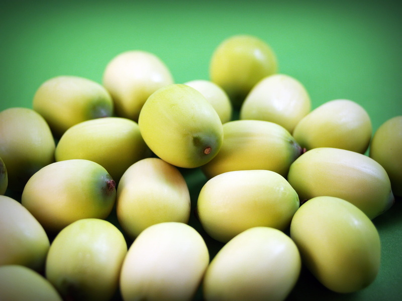 group, full frame, up, botany, isolated, large group of objects, backgrounds, tropical, lotus, freshness, macro, water, nut, lake, indoors, ingredient