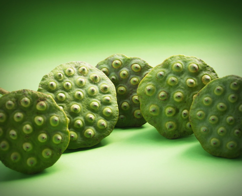 fruit, group, plant, indian, close-up, waterlily, botany, textured, two objects, herbal, leaf, still life, detail, river, pattern, ingredient, produce