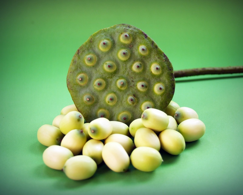 water, close-up, freshness, pod, seedpod, flower, healthy eating, sweet food, colored background, no people, plant, lake, ingredient, vegetable, food and drink