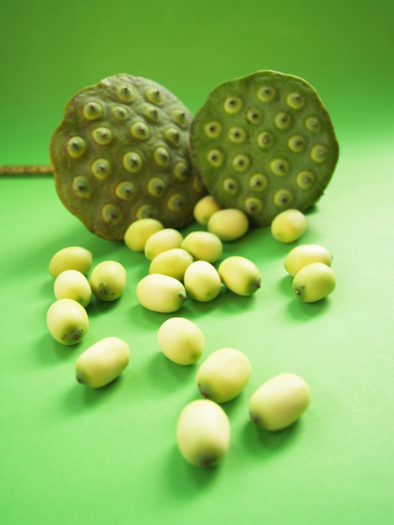 lily, studio shot, waterlily, background, water, seedpod, fruit, river, fresh, asia, green, food and drink, beautiful, ingredient, produce, sweet food