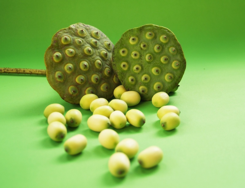 sweet, ball, no people, close-up, care, produce, botany, river, table, closeup, still life, dessert, up, green color, agriculture, indoors, sphere, smiling