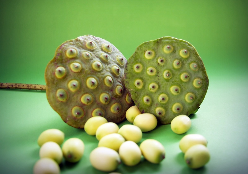 east, flora, pod, agriculture, healthy eating, food and drink, green color, no people, colored background, ingredient, background, vegetable, natural, lotus