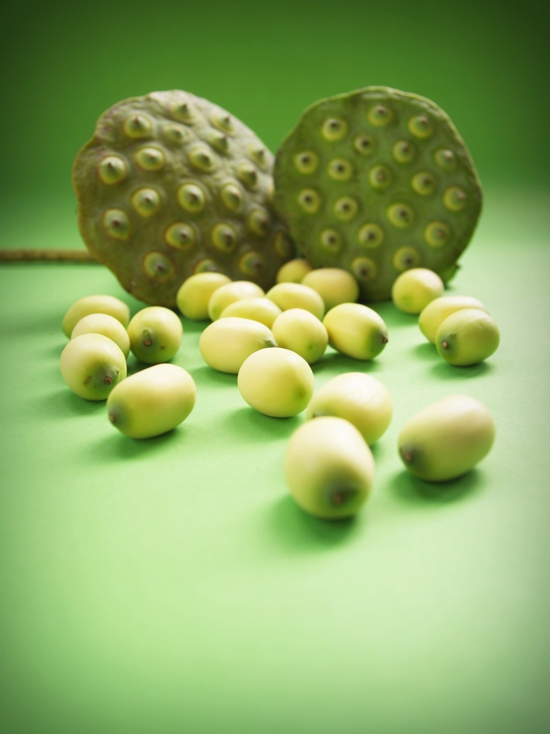asia, flora, closeup, dessert, agriculture, asian, colored background, lake, vegetable, seedpod, seed, beautiful, green, waterlily, background, plant, group