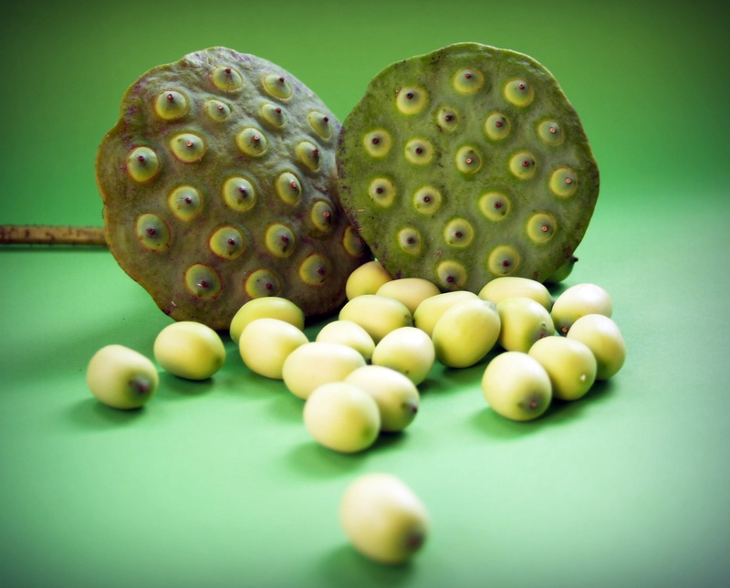 pool table, wellbeing, organic, closeup, care, food, botany, background, medicine, round, colored background, agriculture, fresh, green color, selective focus