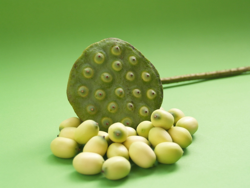 vegetable, green color, herbal, lotus, food, asian, seedpod, still life, leaf, wellbeing, botany, close, produce, medicine, dessert, natural, healthy eating