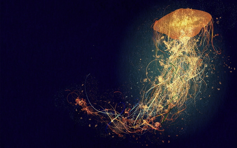 nature, star - space, animals, outdoors, orange color, dark, motion, exploding, 720P, multi colored, illustration, space, abstract, jellyfish, animal