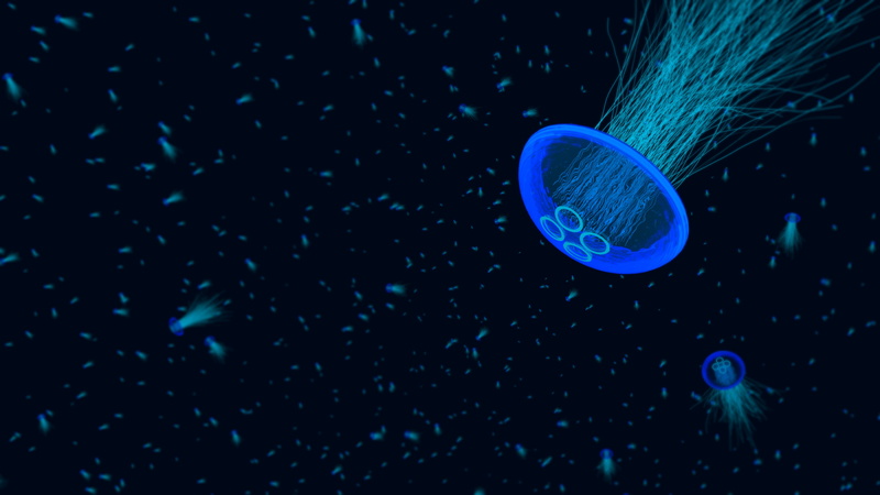 4K, underwater, jellyfish