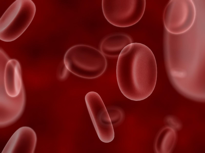 extreme close-up, close-up, red, flowing, nature, 720P, cells, three dimensional, science, bacterium, biology, healthcare and medicine, 3D, blood, pattern