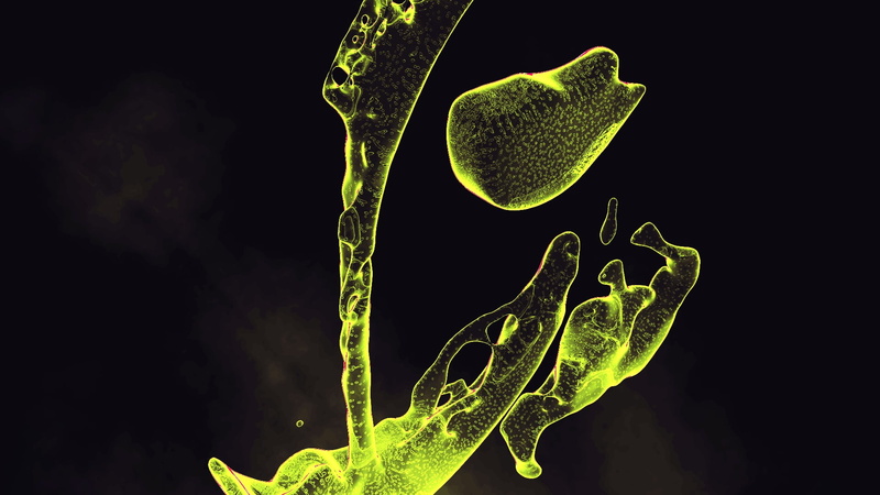 yellow, green color, magnification, research, bacterium, pouring, leaf, science, illustration, healthcare and medicine, nature, studio shot, no people