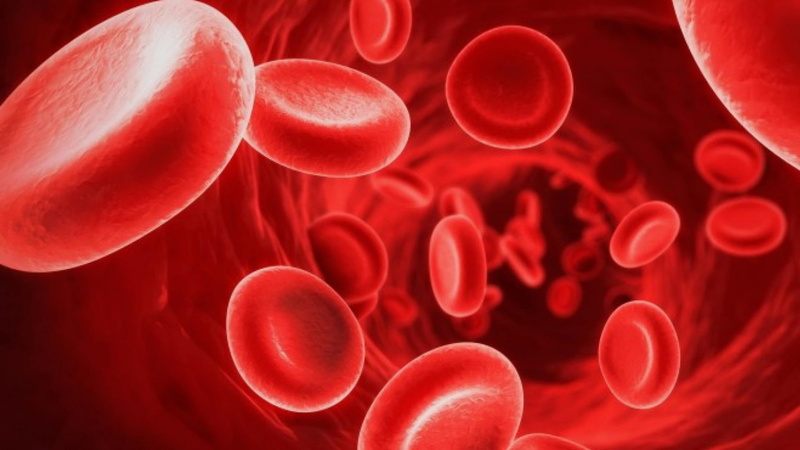close-up, healthcare and medicine, water, abstract, 1080P, science, macro, magnification, red, indoors, large group of objects, biology, extreme close-up