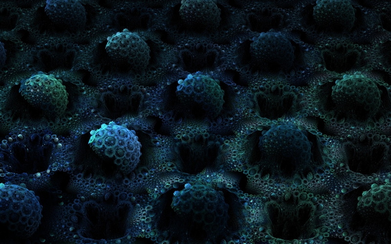 wildlife, animals in the wild, green, macro, dark, 1080P, pattern, animal themes, abstract, blue, close up, micro Organism, close-up, no people, coral