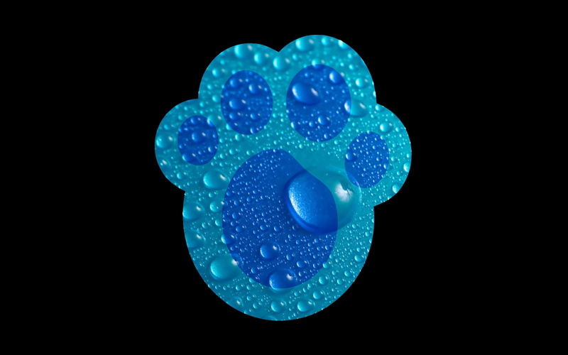 drop, healthcare And Medicine, 1080P, cut out, multi Colored, drawing, bacterium, pattern, copy space, design, food and drink, backgrounds, illuminated