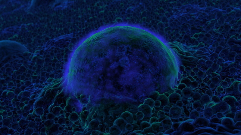 green, illustration, nature, research, animal, jellyfish, bacterium, full frame, close-up, biology, underwater, science, beauty in nature, surface, healthcare and medicine