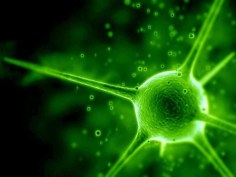green Color, sphere, micro Organism, extreme close-up, macro, illness, human Cell, healthcare And Medicine, dNA, molecule, healthy eating, backgrounds