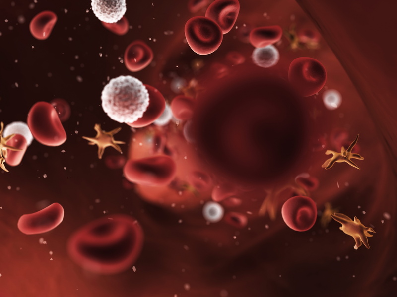 Vessel, space, abstract, biology, animal themes, Artery, geometric shape, 4K, Bacteria, water, shape, indoors, science, magnification, healthcare and medicine