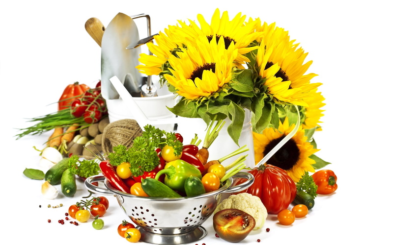 fruit, pepper - Vegetable, sunflower, cucumber, vavedro, flower arrangement, onion, green Color, nature, meal, basket, collection, plate, sunflowers, bowl