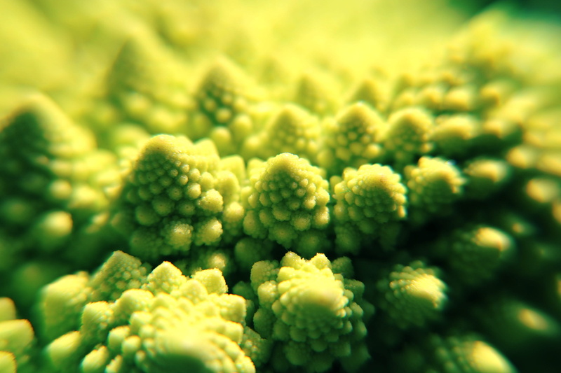 macro, extreme close-up, selective focus, broccoli, romanesco, green, healthy, eat, nutrition, 2K, food, wellbeing, vegetable, full frame, shadow, raw