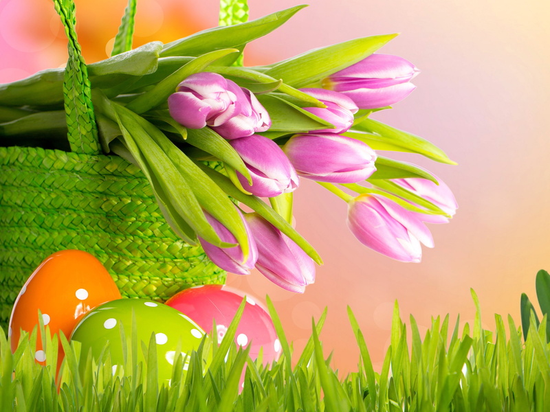 Grass, Easter, Basket, Eggs, Spring, 2K, Purple, Tulips