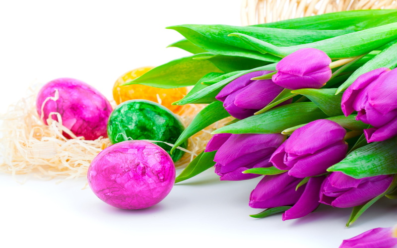 red, Purple, Tulip, petaled, Egg, Easter, green, 2K, Flowers, eggs, flower