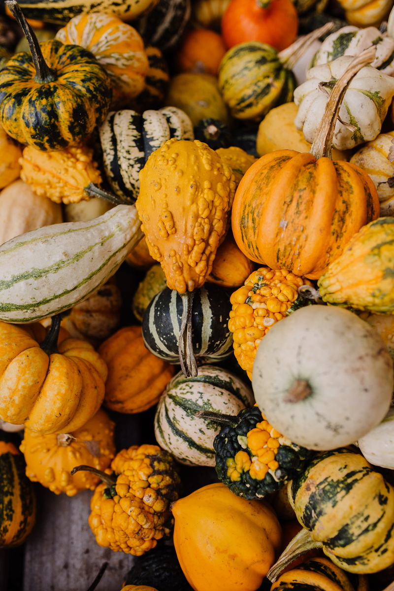 veg, food, yellow, no People, holiday, outdoors, detail, organic, vegetable, agriculture, halloween, leaf, harvest, decoration, fall, rural Scene, assorted