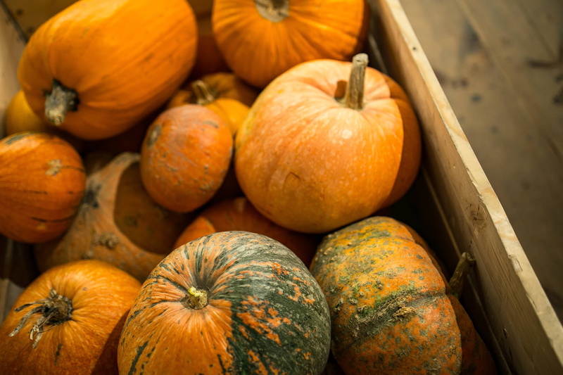 pumpkin, outdoors, orange, farm, no people, wood - material, Close-ups, thanksgiving, fruit, celebration, nature, season, wooden, healthy eating, large group of objects