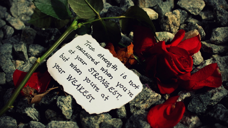 tea, quotes, healthy, flower, food, leaves, plant, leaf, close, freshness, fresh, 1080P