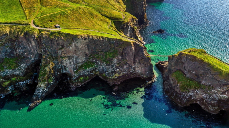 idyllic, detail, growth, green, technology, outdoors, shape, graphic, rock - object, turquoise colored, futuristic, bright, water, tranquil scene, 3d, leaves