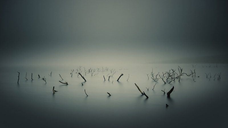 shape, design, tranquility, pattern, beauty in nature, drawing, water, black, animal wildlife, art, flock of birds, icon, symbol, animal, sky, no people