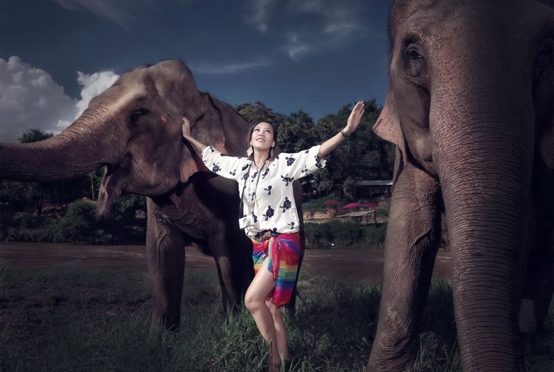 elephant, outdoors, one animal, animal wildlife, nature, cloud - sky, 1080P, Asian, vertebrate, young adult, women, full length, mammal, day, animal trunk