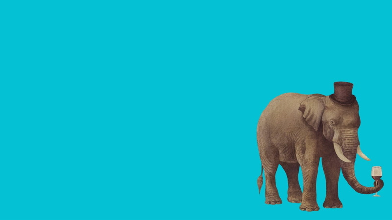 animal wildlife, asian elephant, animal, safari, standing, one animal, minimalism, nature, animal body part, colored background, side view, 1080P, mammal