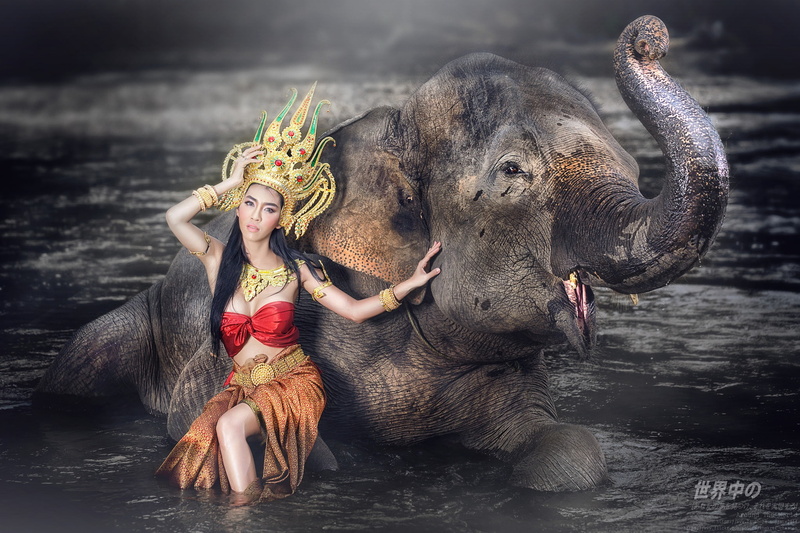girl, style, Asian, 1080P, outfit, elephant, water