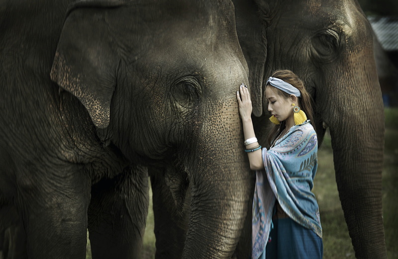 Asian, 1080P, model, animals, elephant, women
